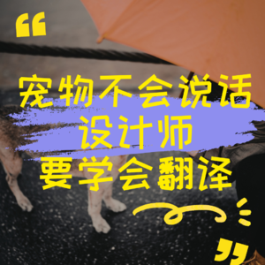 宠物不会说话，设计师要学会翻译