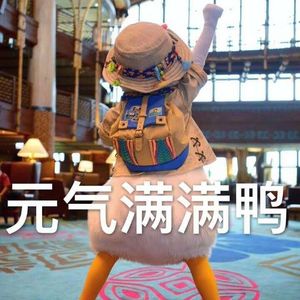 触底反弹的鸭鸭