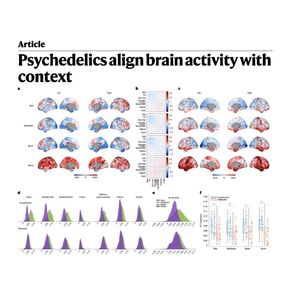 1540-Psilocybin Reorganizes Brain Activity into Context