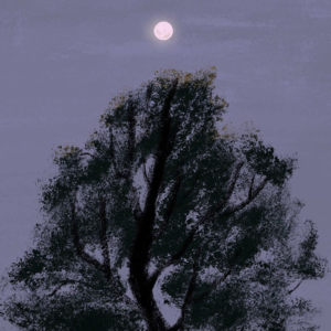 EP04 | 27min睡前清洁护理