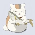 C橙ting