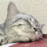 公主整夜不能睡