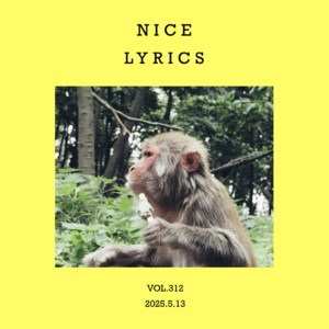 vol.312：一句，顶一万句！