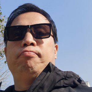 向哥说南阳