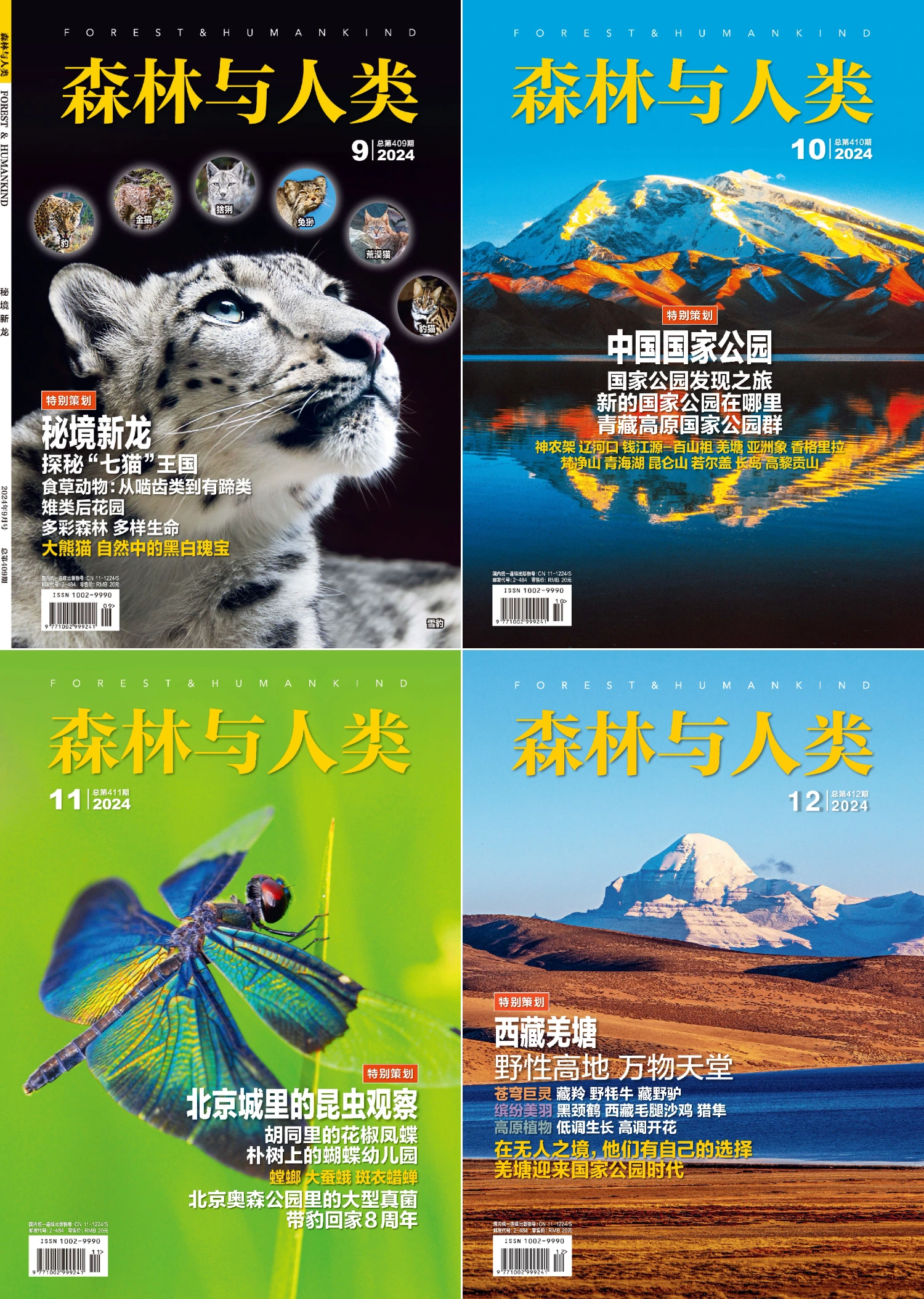 森林与人类 2024全年共12本 PDF