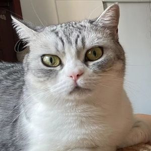 podcaster-avatar