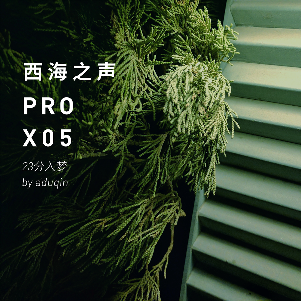 西海之声 Pro X05：23分入梦 (Guest DJ: Aduqin) episode artwork
