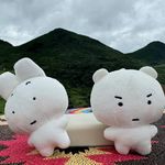 爱笑的不孝蒸蛋一碗