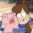 乐乐呵呵的小生活