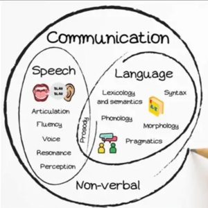 《语言的三个永恒真相：我们为何能够说话？》