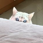 落升