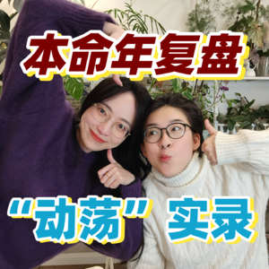 2024本命年复盘｜“动荡”实录