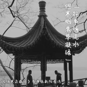 Vol.4 旧事随流水,但寒烟衰草凝绿 | 专访《伤寒杂病论》导演张新阳