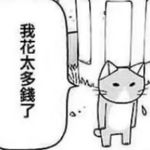 粉红塑料袋儿