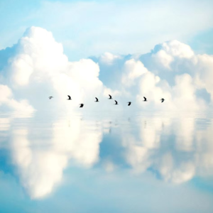 2025属相系列-鸡