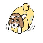 小小黑大帅