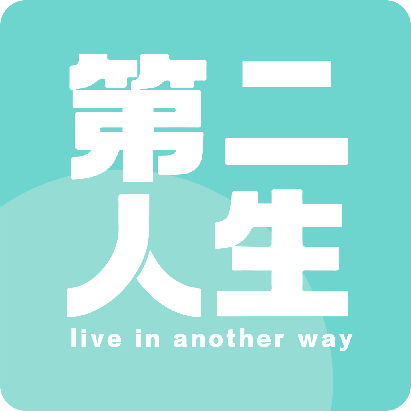 第二人生是本书