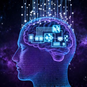 每日一个思维模型