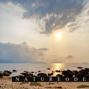 海浪涛涛·无人礁滩