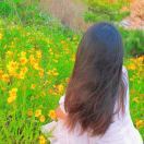 小香赵菜