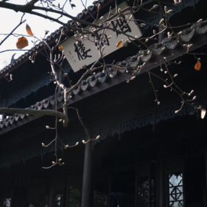 EP25 看那侠女、妖女、魔女、恶女、疯女