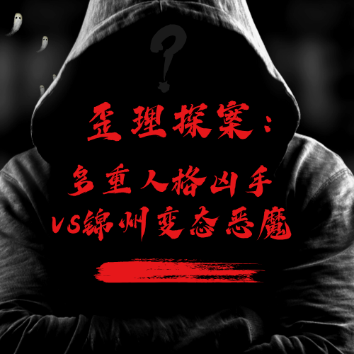 歪理探案：多重人格凶手vs锦州变态恶魔 episode artwork