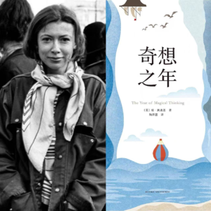 EP06:陈鲁豫和章小蕙为什么都爱她?从《奇想之年》里看哀伤和复原力