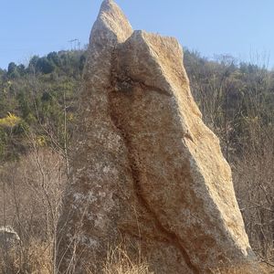 大观见山