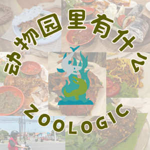 印尼泗水半吐槽半种草！花少餐厅踩雷零食封神？清真寺多过便利店！200住卓别林同款！