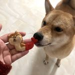 来福尼