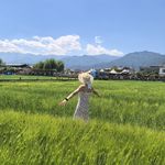 青橙CC