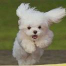 Dream暴富的每一天