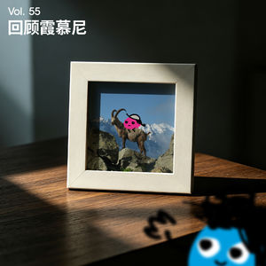 Vol 55｜霞慕尼这十天，我看到的关于UTMB的动人故事