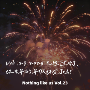 Vol.23 嘿！老己，2025 已经过去了，你去年的年假休完了吗？