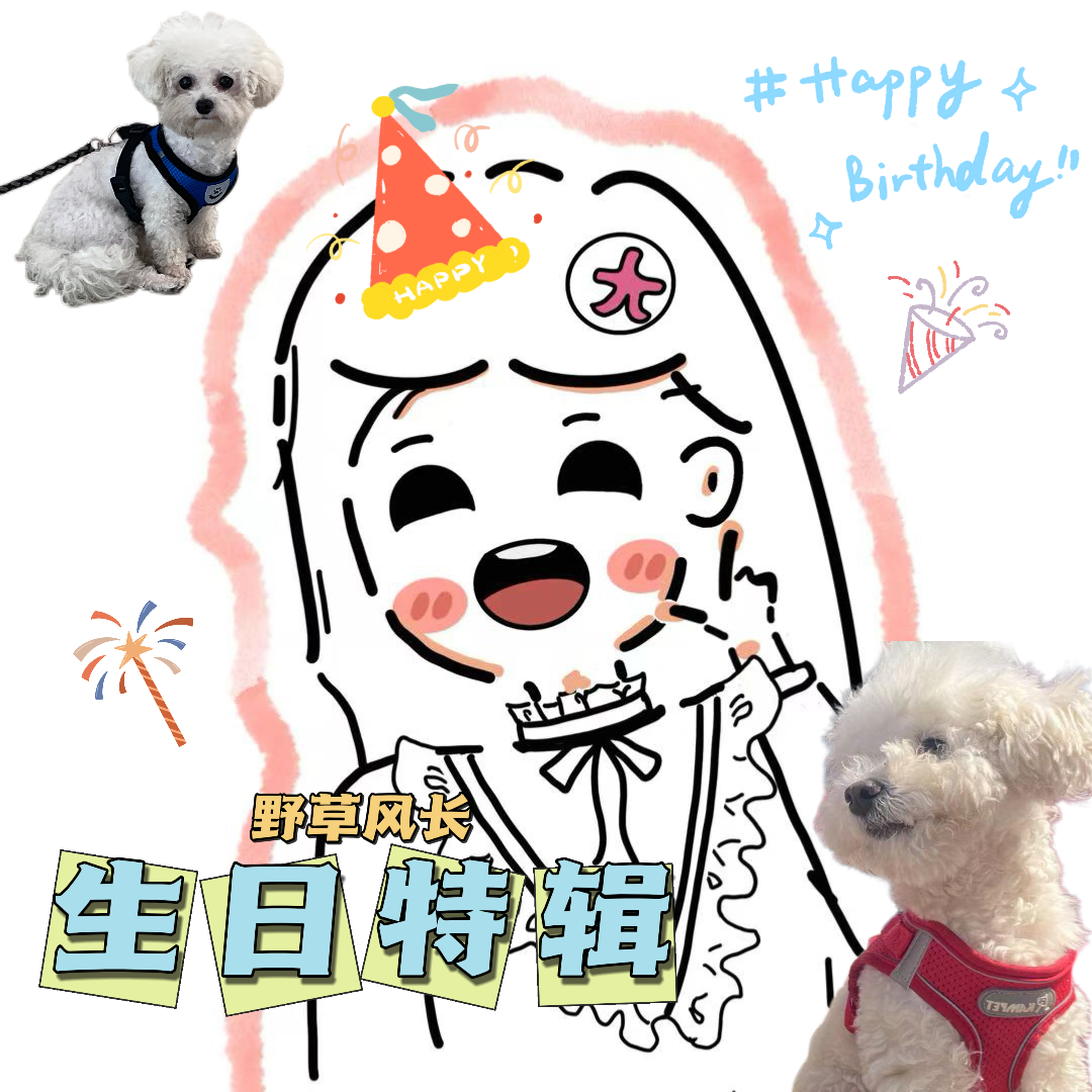 EP4.生日特辑之原来平凡就是我的盾牌 episode artwork