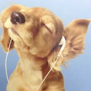 podcaster-avatar