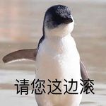 ruisui