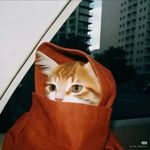 感知是一种天赋