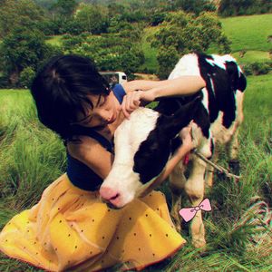 野生小卷