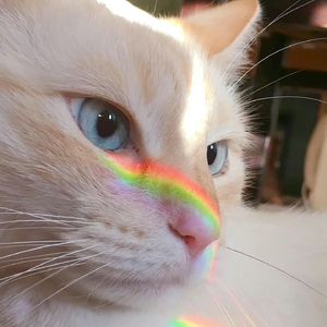 rrrrrrrrkkkk