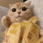 海盐甜筒不要盐