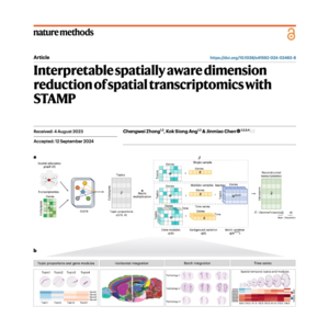116-STAMP: 可解释的空间转录组学降维方法