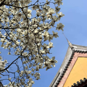 3、FOF研究10年从业经验分享