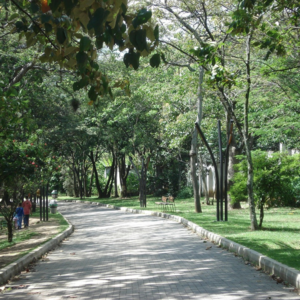 2025年1-4月｜Part 1 Public parks and gardens