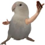PainAu