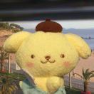 小佳坚决不能困