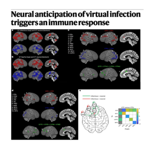 250-The Neuro-Immune Axis of Virtual Infection Threat