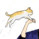 小球Rachel