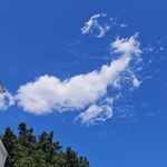 吞_吞