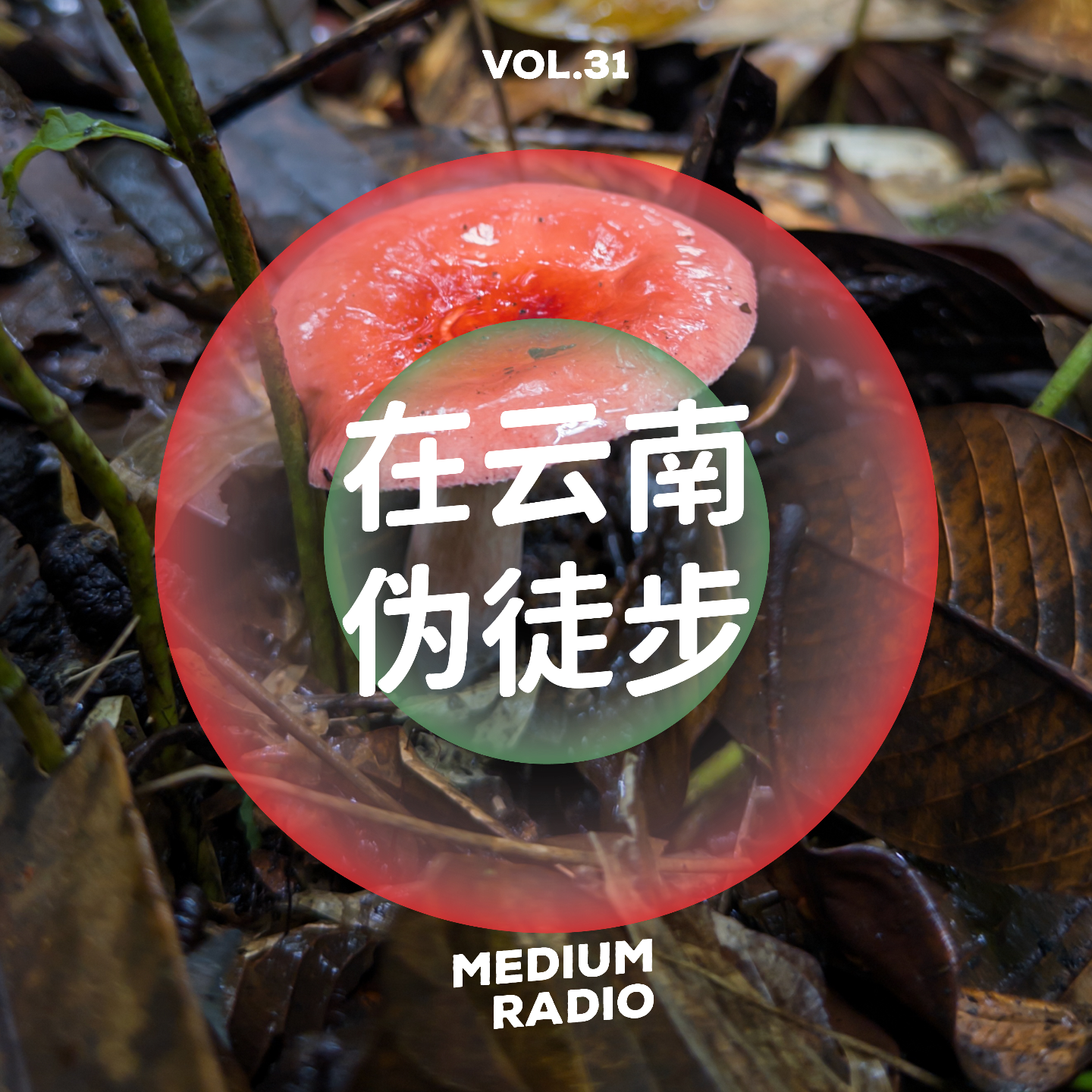 在云南伪徒步 episode artwork